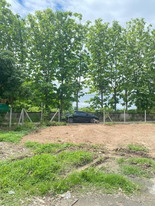 โซนพืชสวนโลก ขายตรว.ละ 35,000 บาท 167 ตรว. #ที่ดินทำเลทอง #ใกล้ราชพฤกษ์ เพียง 300 เมตร #มีโฉนดที่ดิน