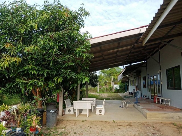 #ขายบ้านสวนพนัสบรรยากาศดี#ขายที่ดินพร้อมสิ่งปลูกสร้าง???? บ้านสววนธรรมชาติ????โซนพนัสนิคมชลบุรี บนพื้มที่​  2 ไร่ 30 ตรว????​พร้อมโรงนา​ 2​  โรง ????บ้าน 1 หลัง ????ราคา 3.9​ ลบ✴️​ลดพิเศษ​  3.5​  ลบ  (  โฉนด​พร้อมโอน​  )สนใจ/ติดต่อ????081-4590982​ ลฎา????098-9955449????0831168970​  แอมAddLine​ID​: ladapa23ดูทรัพย์​เพิ่มกด????https://www.facebook.com/profile.php?id=100063539531124#ขายบ้านดีบ้านสวยชลบุรี​#ขายบ้านรีโนเวท​#พนัสนิคม​#หนองตำลึง​#นาป่า​#อมตะพานทองช