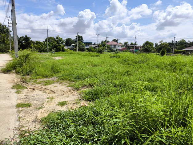 ขายที่ดินเปล่า ทำเลดี ถมแล้ว ต.สันผักหวาน อ.หางดง จ.เชียงใหม่ (เจ้าของขายเอง)