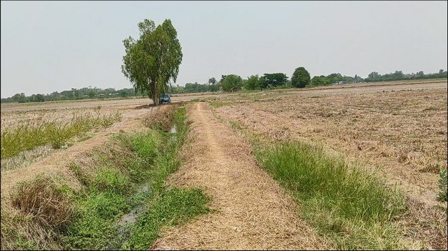 ขายที่ดินทำนาหรือทำเกษตร เมืองสุพรรณบุรี เพียง 20 กม. ถึงตัวเมืองสุพรรณบุรีรายละเอียดที่ดิน1. ที่ดินเปล่า พร้อมทำการเกษตรและทำนาได้เลย2. ขนาด 11-1-55 ไร่ มีร่องน้ำใกล้ที่ดิน3. ขายเพียง 349,500 บาท/ไร่   รวมเป็น 3,980,000 บาท4. สถานที่ใกล้เคียง- รร.ตลิ่งชันวิทยา, รร.อินทร์ศรัทธาราษฎร์, รร.เมืองสุพรรณบุรี- DD Flower Farm, ตลาดนัดหนองพันกง- อบต.ตลิ่งชัน***************************************ติดต่อ เอื้อ 092-328-7914Line id: aeroaur************