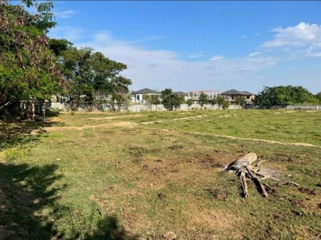 ที่ดินสวย  บรรยายกาศดี น้ำแพร่ หางดง