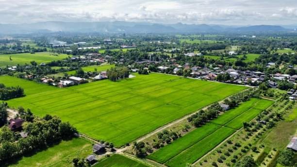 คุ้มที่สุด ขายยกแปลงเพียง 15.5 ล้าน เนื้อที่ 17-2-74 ตรว. บวกค้าง สันกำแพง ทำเลสวย วิวภูเขา 360 องศา อากาศถ่ายเท ลมพัดเย็นสบาย น้ำไม่ท่วม