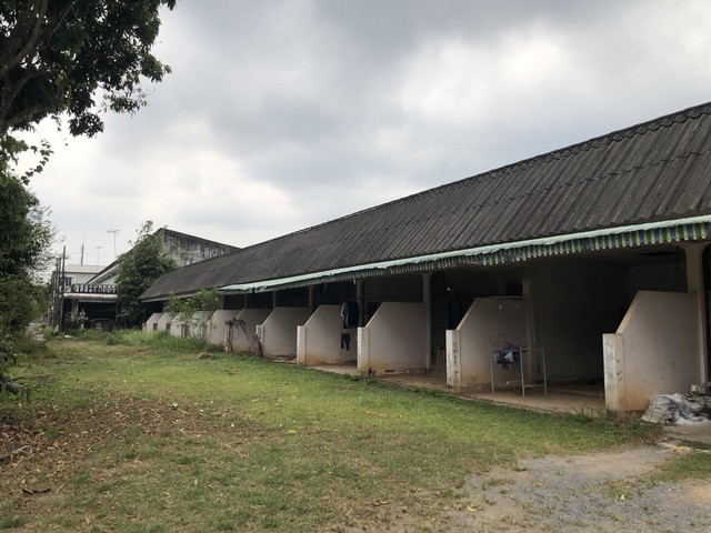   Code ID : PGSNI5308  ราคา  2,370,000   บาท ▸ เนื้อที่ 17 ตร.ว  พื้นที่ใช้สอย 740.25 ตร.ม.  บ้านหันไปทางทิศตะวันออก  พิกัดทรัพย์ : https://maps.app.goo.gl/91Tp7SeaCrAWqZiEA  สถานที่ใกล้เคียง ▸ใกล้  โรงพยาบาลกาญจนดิษฐ์ ▸ใกล้  PTT Station ปตท.เขาแก้ว ▸ใกล้  ไทวัสดุ สุราษฎร์ธานี ▸ใกล้  วัดท่าไทร  สอบถามเพิ่มเติม / นัดชม โทร. 097-419-5982(พลอย) โทร. 096-932-4624(ออมสิน) Line : @panaya (มี@ด้านหน้า)  ปรึกษาสินเชื่อฟรี One Stop Service ดูแลตั้งแต่ต้นจนจบบริษัท ปณยาคิดดี จำกั�