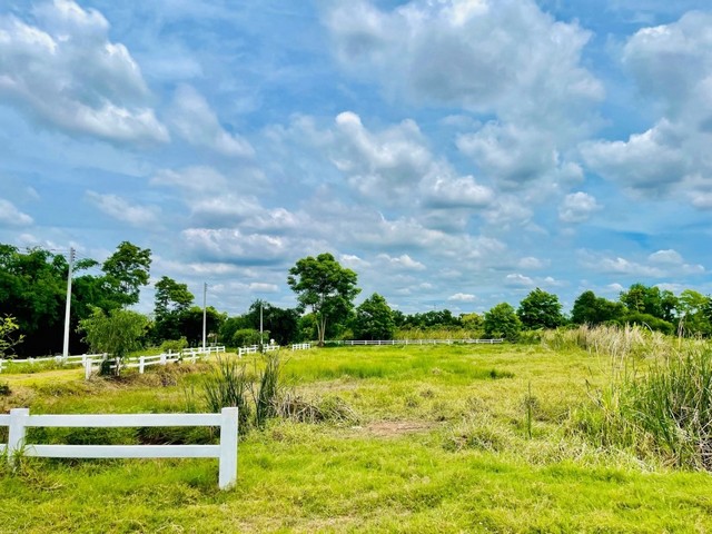 แบ่งขาย ที่ดิน ปากคลอง13 ต.บึงน้ำรักษ์ อ.ธัญบุรี จ.ปทุมธานี เหมาะเป็นที่อยู่อาศัย บ้านพักยามเกษียณ