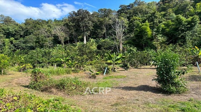 ขายที่ดินเปล่าบนภูเขา ใกล้ลำธารธรรมชาติ อ.หางดง จ.เชียงใหม่ ขนาดที่ดิน 4-0-23 ไร่ กว้าง 41 x 84 เมตร บริเวณหน้าที่ดินเป็นถนนคอนกรีตพร้อมเสาไฟฟ้า ห่างจากถนนหางดงเพียง 13 กม. เหมาะสำหรับสร้างรีสอร์ท อากาศดีตลอดทั้งปี เดินทางไปสนามบินเชียงใหม่ ได้ง่ายเพียง 30 นาทีราคา 11,000,000 บาท(รหัสทรัพย์ 00157581) Contact Us+66 (0)88 268 2000info@acuterealtyconsultant.comLine Official : http://lin.ee/N9TaR0qAdd friend : acuterealtychiangmaihttps://www.acr-partner.com