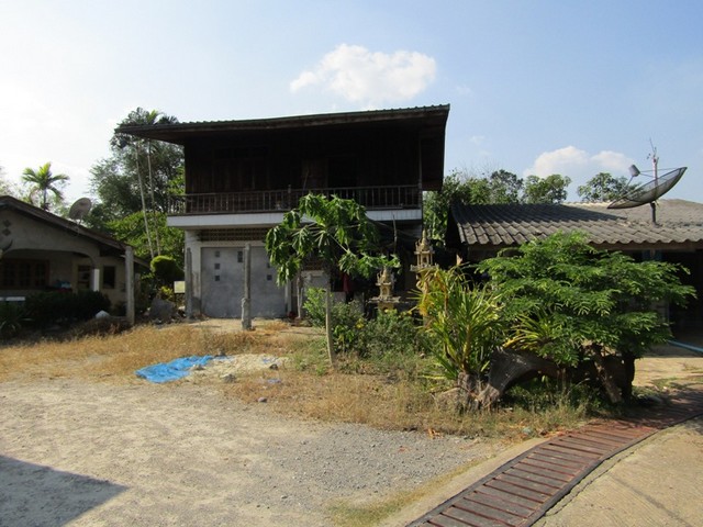 ขายบ้านเดี่ยวมือสอง อำเภอพนม จังหวัดสุราษฎร์ธานี