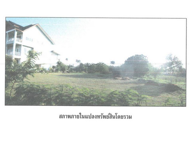 ขายบ้านเดี่ยวมือสอง อำเภอไชยา จังหวัดสุราษฎร์ธานี