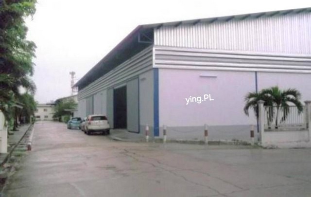 ด่วน ด่วน ขายโรงงาน บนถนนสาย344 (บ้านบึง-ชลบุรี) มี 3 โกดังในพื้นที่ ราคาคุยกันได้คะ