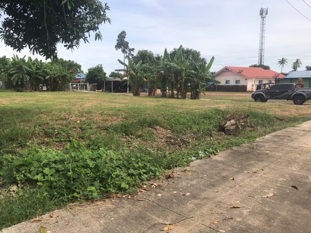 ที่ดินเปล่า ถมแล้ว เยื้องแม็คโคร กำแพงเพชร  ถ.ท่ามะเขือ -กำแพงเพชร ต.ในเมือง อ.เมือง จ.กำแพงเพชร