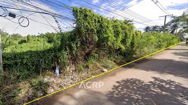 ขายที่ดินติดถนนสาธารณะ อ.ปากช่อง จ.นครราชสีมา ขนาดที่ดิน 12-2-41 ไร่ ที่ดินหน้ากว้าง 111 เมตร ลึก 174 เมตร ทำเลดี ใกล้ตลาดไนท์บาร์ซ่า เหมาะสำหรับการลงทุน พัฒนาจัดสรรราคา 100,820,000 บาท(รหัสทรัพย์ 00155540) Contact Us+66 (0)88 268 2000info@acuterealtyconsultant.comLine Official : http://lin.ee/N9TaR0qAdd friend : acuterealtychiangmaihttps://www.acr-partner.com