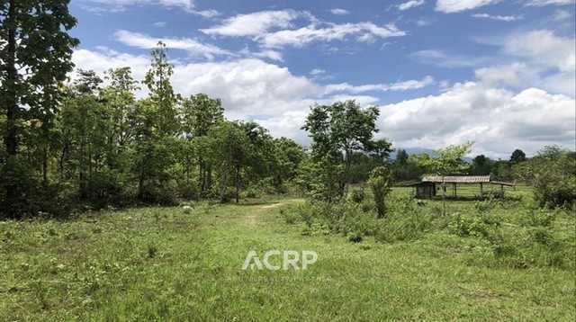 ขายที่ดิน อ.แม่แตง จ.เชียงใหม่ ขนาดที่ดิน 1-3-71 ไร่ ทำเลดี ติดถนนหลัก เดินทางสะดวก สามารถทำเกษตรกรรมได้ตลอดทั้งปี ใกล้ย่านชุมชน และห่างถนนแม่ริม-เชียงใหม่ เพียง 10 นาทีขาย 1,900,000 บาท(รหัสทรัพย์ 00155346)Contact Us+66 (0)88 268 2000info@acuterealtyconsultant.comLine Official : http://lin.ee/N9TaR0qAdd friend : acuterealtychiangmaihttps://www.acr-partner.com