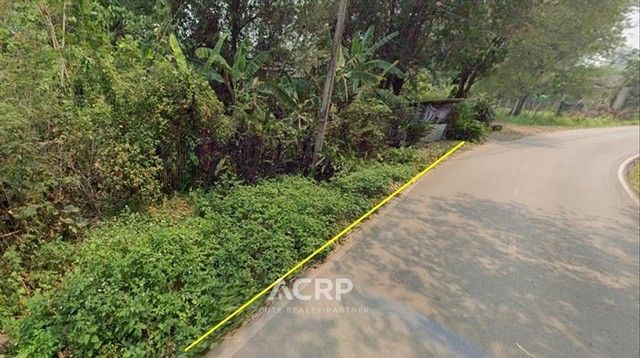 ขายที่ดิน ต.ขี้เหล็ก อ.แม่แตง จ.เชียงใหม่ ขนาดที่ดิน 1-3-71 ไร่