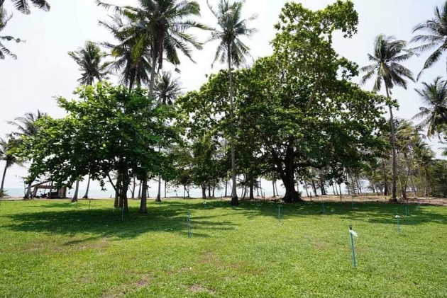 ขายบ้านติดทะเล ทำเลดี  อ.บางสะพาน จ.ประจวบคีรีขันธ์