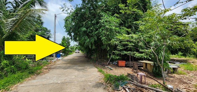 ขายที่ดิน 200 ตรว คลอง 12 หนองเสือขายราคา 1.1 ล้านบาท ( มีเนื้อที่ 217.6 ตรว )ขายที่ดินคลอง 12 หนองเสือ 217 ตรว  ติดถนนคอนกรีต เหมาะปลูกบ้านสวน ทำเกษตรพอเพียง ยามเกษียณได้ อยู่ใกล้แหล่งชุมชนที่ตั้ง:  ( เรียบคลอง12 หนองเสือฝั่งตะวันออก ) ตำบล หนองสามวัง อำเภอ หนองเสือ ปทุมธานี 12170 ขายที่ดินเ คลอง 12 หนองเสือ มีเนื้อที่ 217.6 ตรว     - กว้าง 20 เมตร      - ลึก 44 เมตร   ลักษณะที่ดิน: ที่ดินเป็นพื้นที