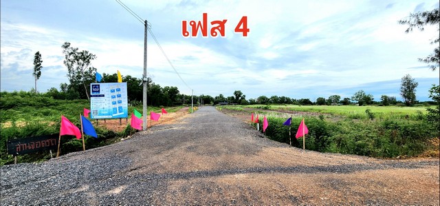 ขายที่ดินองครักษ์ คลอง 15 (ตลาดขายต้นไม้)ขายราคา 540,000-1,200,000 บาท ( มีเนื้อที่ 100 -137 ตรว ) *( มีขายราคาเงินสด-เงินผ่อน )ขายที่ดิน คลอง 15 องครักษ์ ย่านตลาดค้าขายต้นไม้ 100 ตรว  เป็นที่ดินเปล่าถมแล้ว เหมาะปลูกบ้าน ทำสวน ทำการเกษตรเล็กๆ หรือเก็บซื้อไว้เก็งกำไรในอนาคตได้ที่ตั้ง :  คลอง 15  อำเภอองครักษ์ นครนายก 26120แปลงที่ดิน 100 ตรว ถมแล้ว-  กว้าง 17.87 ม. ต