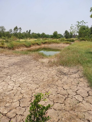 ขายด่วนที่ดิน พื้นที่ 1 ไร่ 1 งาน  ต. บึงบา อ.หนองเสือ ปทุมธานี คลอง 10