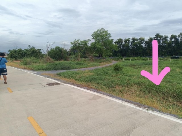 ขายที่ดินเปล่า ซอย 13 ทับ 7 คลองสาม คลองหลวง ปทุมธานี  เนื้อที่ 400 ตรว.ใกล้ความเจริญ ทำค้าขายได้