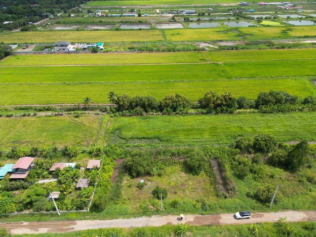 ขายทีดิน ซอยลำลูกกา196 หนองจอกฝั่งประชาสำราญ อำเภอลำลูกกา จ ปทุมธานี  เนื้่อที่ 400 ตรว. ทำเลดี ที่ดินสวย น้ำ ไฟ พร้อม