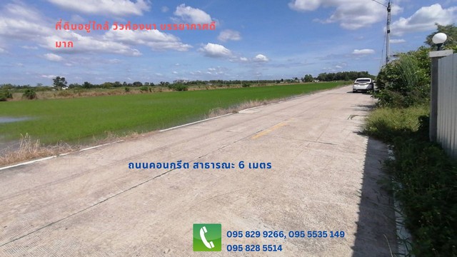 ขายถูกที่ดินถมแล้ว 1-3-55 ไร่  ถนนหลักคลองห้า  ทำเลดี เข้าซอยประมาณ 800 ม.ถนนสาธารณะคคอนกรีต เข้าออกคลองสามได้ คลองหลวง ปทุมธานี