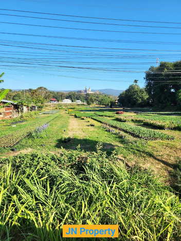 ขายที่ดินเปล่า ติดถนน เลย - หล่มสัก  อ.ภูเรือ จ.เลย