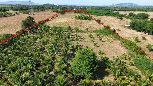 ขายที่ดินพร้อมสวน ทำเลดี วิวสวย ห่างกรุงเทพเพียง 140 กม. ใกล้เขื่อนป่าสักชลสิทธิ์ อ.พัฒนานิคม จ.ลพบุรี