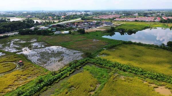 ขายที่ดิน 15-1-31.4 ไร่ ใกล้แยก รพ.ลำพูน ต.เหมืองง่า อ.เมืองลำพูน จ.ลำพูน