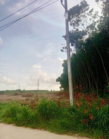 #ขายที่ดินบ้านค่ายระยอง#ขายที่ดิน19ไร่​1งาน​ 66​ ตรว????ที่ดินตั้งอยู่หลังนิคมอุตสาหกรรม WHA​ต.หนองตะลอก​ อ.บ้านค่าย​ จ.ระยอง???? พื้นที่สีเหลืองมีไฟ 3 เฟส ติดถนนคอนกรีตที่ดินหน้ากว้างประมาณ 80 เมตร ✴️ราคาไร่ละ​ 1.35​  ล้านสนใจ/ติดต่อ???? 098-9955449????098-9955449​   ลฎาAddLine​ID​: ladapa23กดดูทรัพย์​เพิ่ม????https://www.facebook.com/profile.php?id=100095037404786..._____________________________????รับฝากขาย-ฝากเช่า คอนโด บ้าน ที่ดิน โกดัง ????โรงงานและ การลงทุน