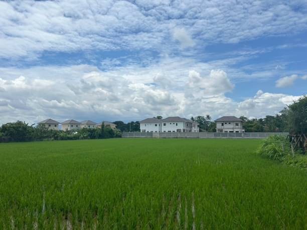 ขายที่ดินสวยตรว.ละ 9,500 บาท สันทราย สันนาเม็ง เนื้อที่ 4 ไร่ ใกล้ CCIS ถนนคอนกรีต วิวสวย บรรยากาศดี ใกล้เมือง เดินทางสะดวกสบาย