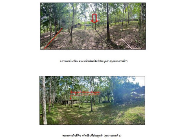 ขายบ้านเดี่ยวมือสอง  อำเภอไชยา จังหวัดสุราษฎร์ธานี