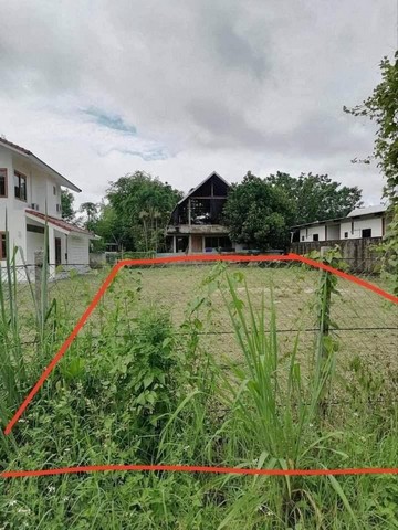 ที่ดินแปลงสวย วิวดอย หันหน้าทิศเหนือ โซนป่าตัน          