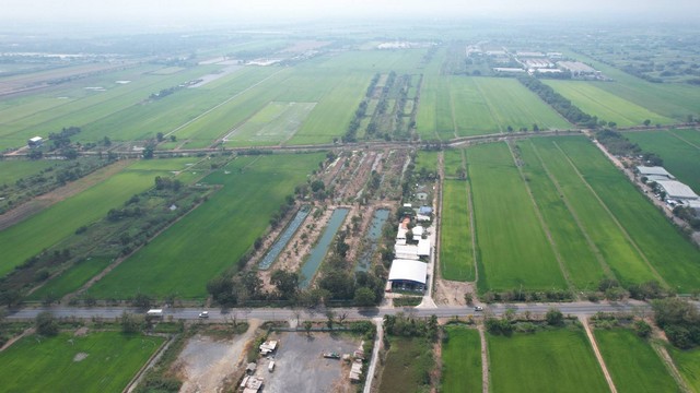 ขายที่ดิน 65 ไร่ 207 ตารางวา แขวงกระทุ่มราย เขตหนองจอก กรุงเทพมหานคร 10530ที่ตั้ง : 9 ถ. สังฆสันติสุข แขวงกระทุ่มราย เขตหนองจอก กรุงเทพมหานคร 10530https://maps.app.goo.gl/zSqafNHu6TEcHiDC8ขนาดพื้นที่ : 65 ไร่ 207 ตาางวารายละเอียดขายที่ดิน รวมพื้นที่ 65 ไร่ 207 ตารางวา.     ด้านหน้าติดถนนสังฆสันติสุข ขาย ไร่ละ 2.7 ล้านบาท         ด้านในติดคลองชลประทาน  ขาย ไร่ละ 1.2 ล้านบาทที่ดินไม่เป็นบ่อ ขายถูกที่สุด ในระแวกนี้ ที่