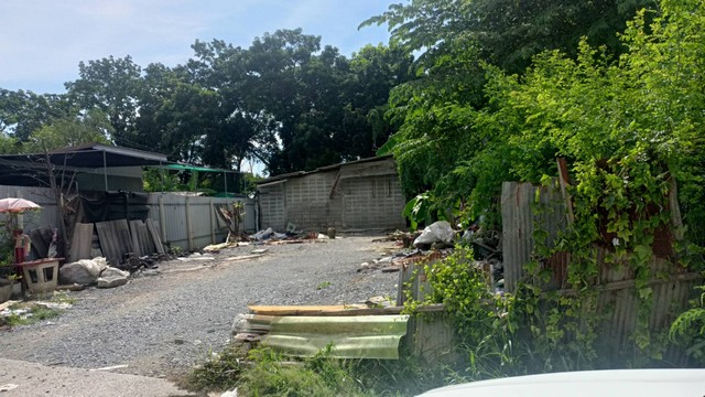 ขายที่ดินพร้อมสิ่งปลูกสร้าง ห้องเช่า 5 ห้อง ตำบลลำพยา อำเภอเมือง จังหวัดนครปฐม เนื้อที่ 98 ตารางวา