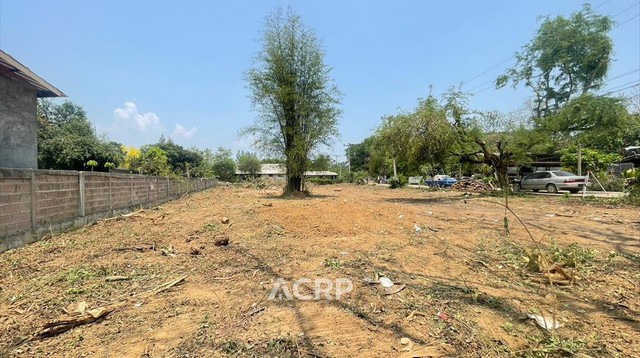 ขายถูก ที่ดินเปล่า ต.สันโป่ง อ.แม่ริม จ.เชียงใหม่ ขนาด 1-0-08 ไร่