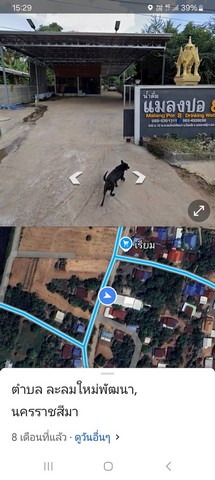 ขายที่ดินพร้อมกิจการโรงงานน้ำดื่ม อำเภอโชคชัย จังหวัดนครราชสีมา เนื้อที่ 1 งาน 97 ตารางวา (พร้อมดำเนินกิจการต่อได้เลย)