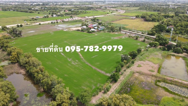ขายที่ดิน ลำตาเสา วังน้อย อยุธยา ใกล้ ตลาดสี่ขวาพัฒนา ใกล้ ทางหลวงพิเศษหรือมอเตอร์เวย์ตัดใหม่ ไร่ละ 1.5 ลบ