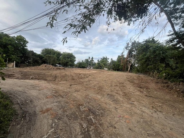 ขายที่ดินเปล่า 189ตรว. 1.99ลบ. ถม น้ำ ไฟฟ้า หลัง รร.นครพายัพ NIS บ้านร้องอ้อ ต.สันผีเสื้อ อ.เมืองเชียงใหม่ขายที่ดินเปล่าถมแล้วบ้านร้องอ้อ ต.สันผีเสื้อ ตัวเมืองเชียงใหม่เนื้อที่ 189 ตารางวาลดราคาเหลือ 1.99 ล้านบาท (ลดจาก 2.2 ล้านบาท) ฟรีค่าโอน-หลังโรงเรียนนานาชาตินครพายัพ NIS ปั่นจักรยานมาโรงเรียนได้-ใกล้แยกรวมโชค-พื้นที่ชุมชน และร้านค้าต่างๆ-เดินทางสะดวก สามารถออกวงแหวนร