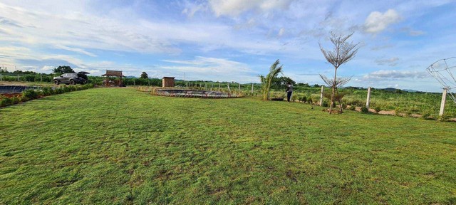 ขายที่ จำนวน 1 ไร่ โฉนดครุฑแดง นส 4 จ อ.ท่าม่วง ต.หนองตากยา จ.กาญจนบุรี