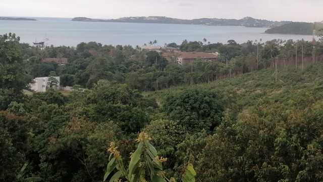 ขายที่ดินวิวทะเล 1600 ตร.วา  บ่อผุด ใกล้ Fishermans Village