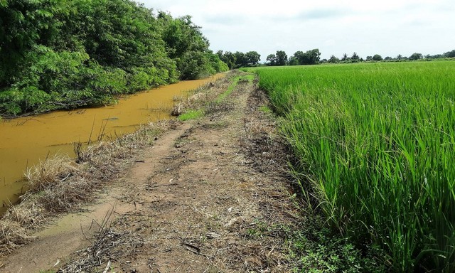 ขายที่ดิน ต.ศรีจุฬา อ.เมือง จ. นครนายก เนื้อที่ 3 ไร่ ที่สวย ติดคลองชลประทาน เหมาะทำรีสอร์ท