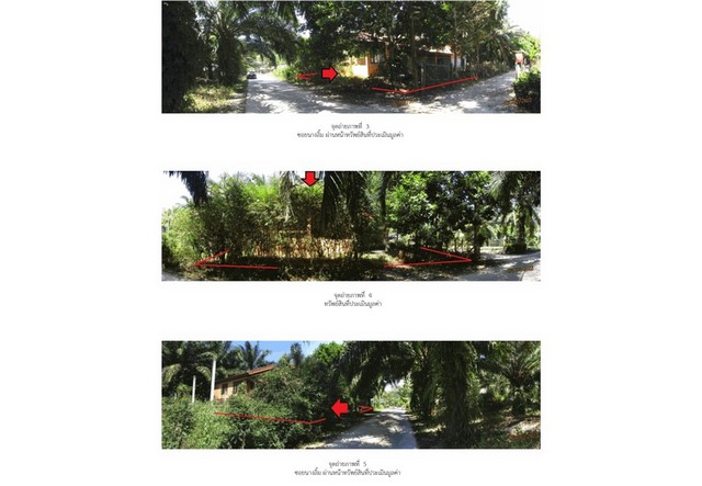 ขายบ้านเดี่ยวมือสอง  อำเภอพระแสง  จังหวัดสุราษฎร์ธานี