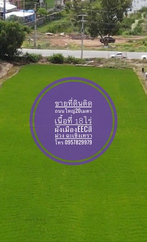 ขายที่ดิน ติดถนนใหญ่ 18 ไร่ ถ.ตลาดสดปองพล คลองเปรง สุวินทวงศ์ หลวงแพ่ง ลาดกระบัง ฉะเชิงเทรา