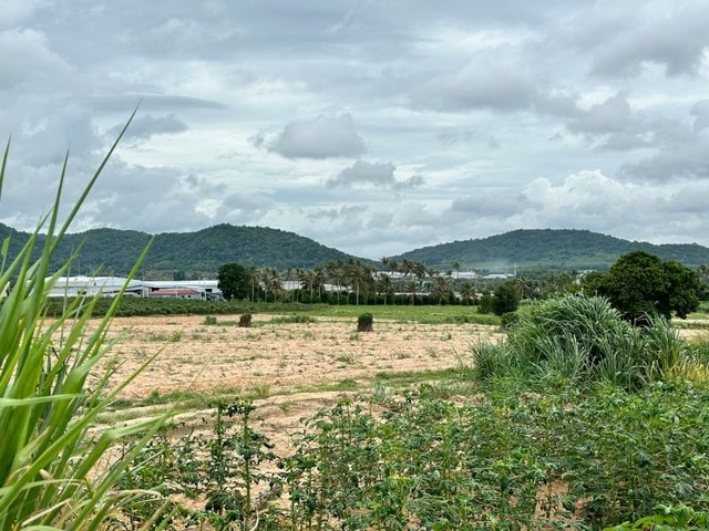 TEL : 061-979 5595 ดนิตาLine : https://line.me/ti/p/yxo92dHWP1รายละเอียดที่ดิน- 9 ไร่ 3งาน 73.1ตารางวา- ที่ดินรูปทรงสี่เหลี่ยมสวยงาม- ด้านหน้าติดถนนสาธรณะกว้าง 100 เมตร- ถนนด้านหน้าที่ดิน กว้าง 12 เมตร(รถใหญ่วิ่งเข้า-ออกสะดวก)- ด้านข้างติดถนนสาธรณะ- ที่ดินสีม่วงจุด (ทำโรงงานได้,ทำโกดังได้,ฯลฯ)- ใกล้ท่าเรือแหลมฉบัง- ใกล้นิคม WHA- ใกล้นิคม ปิ่นทอง- ไฟฟ้าพร้อม ,น้ำพร้อมราคาไร่ละ 4.5 ล้านบาทค่าโอน50:50  F-A8