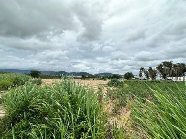 ขายที่ดินบ่อวิน ศรีราชา ทำเลดี ใกล้ท่าเรือแหลงมฉบัง พื้นที่สีม่วงจุด FP-L0347