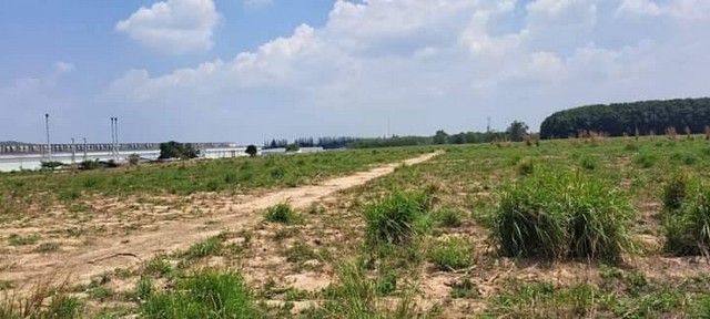 ที่ดินเปล่า ทำเลดี น้ำไฟพร้อม มาบยางเตย ปลวกแดง ระยอง FP-L0343