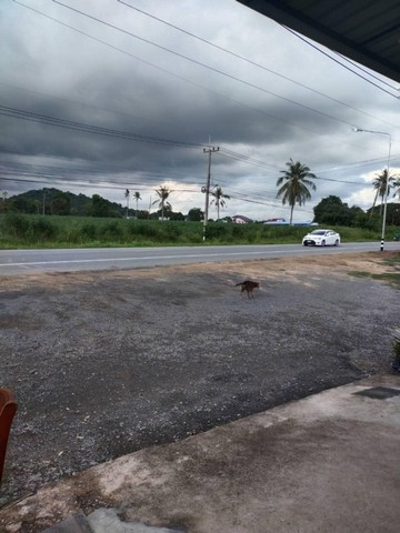 Vายด่วนๆๆ ที่ดินทำเลดี ติดถนนทางสาย 331 ที่ดินเอกสารสิทธิ์โฉนด ทำเลศักยาภาพดี