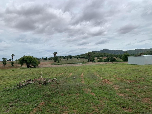 ขายด่วน ที่ดินสวยวิวภูเขาแปลงใหญ่ราคาถูก เนื้อที่ 730 ไร่ อ.พนมทวน จ.กาญจนบุรี