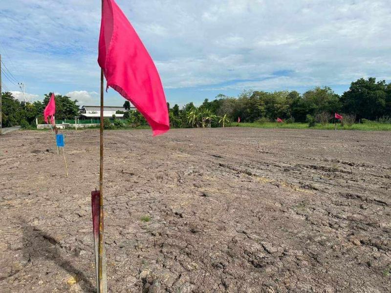 #ถมสูงน้ำไม่ท่วม #ที่ดินคลอง6(ซอย55) คลองหลวง ปทุมธานี