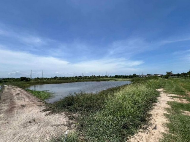 ขายที่ดิน 7 ไร่ เหมาะทำหมู่บ้านจัดสรร พานทอง บางนาง ชลบุรี TP-L0412