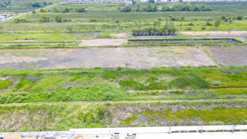 #ที่ดินคลอง2(บงกช87) คลองหลวง ปทุมธานี 3 ไร่ ไร่ละ 3.85 ล้านบาท