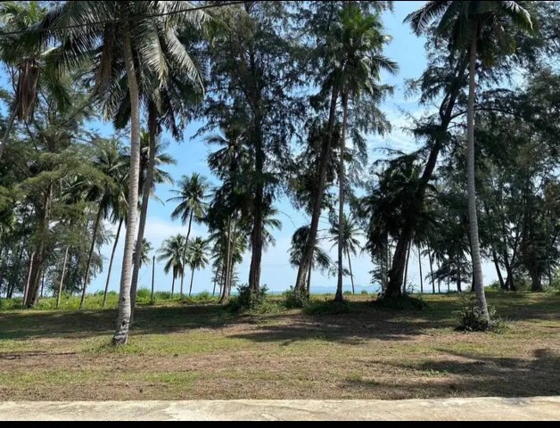 ขายที่ดิน แปลงสวย 2 แปลง เนื้อที่ 200 ตรว. ห่างจากหาดแหลมสน เพียง 100 เมตร เหมาะสำหรับทำบ้านพักตากอากาศ อ. บางสะพานน้อย จ.ประจวบคีรีขันธ์